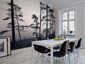 Fototapet Old Pine Trees