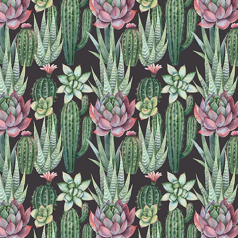 Tapet Succulents, personalizat, VLAdiLA - imagine 2