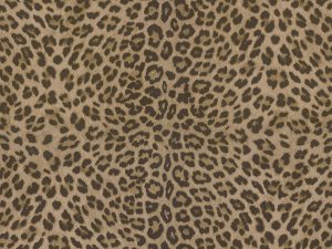 Tapet Zambaiti colectia Philipp Plein cod Z80039