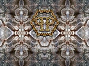 Tapet Zambaiti colectia Philipp Plein panel cod Z80077