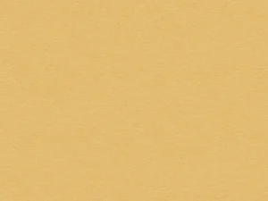 Tapet Telis Fawn colectia Joy cod JOY306 Khroma by Masureel